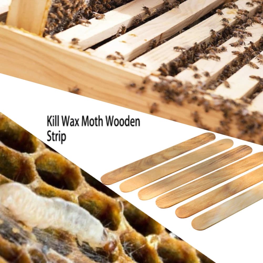 Larves de verres pour le traitement des copeaux de bois, insecticide à la cire d'abeille, médicament