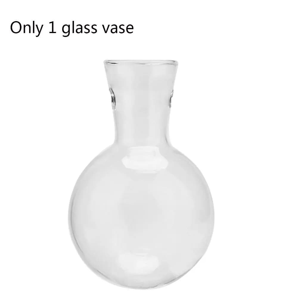 Vases à plantes hydroponiques, Vase en verre, Vintage, bonsaï, Pot de fleur, Terrarium, plateau de t