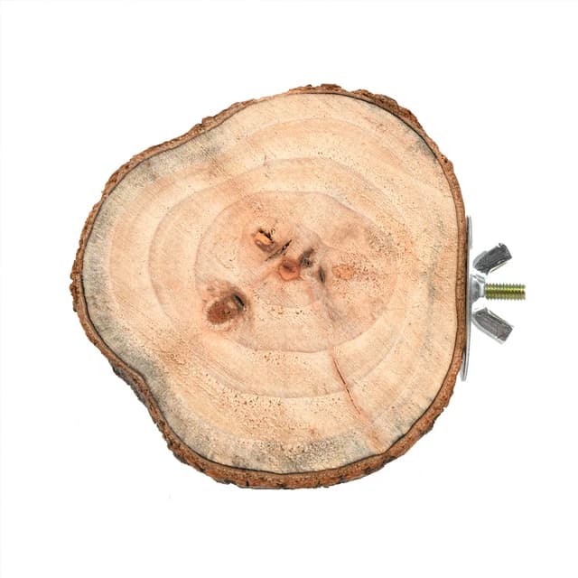 Support rond en bois pour écureuil, perroquet, perche pour oiseaux, plate-forme pour animaux de comp