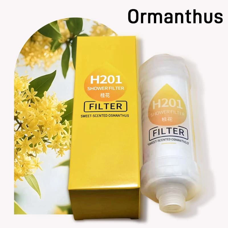 Filtre pour pommeau de douche parfumé, adoucisseur d'eau, améliore l'épilation de la peau, supporter