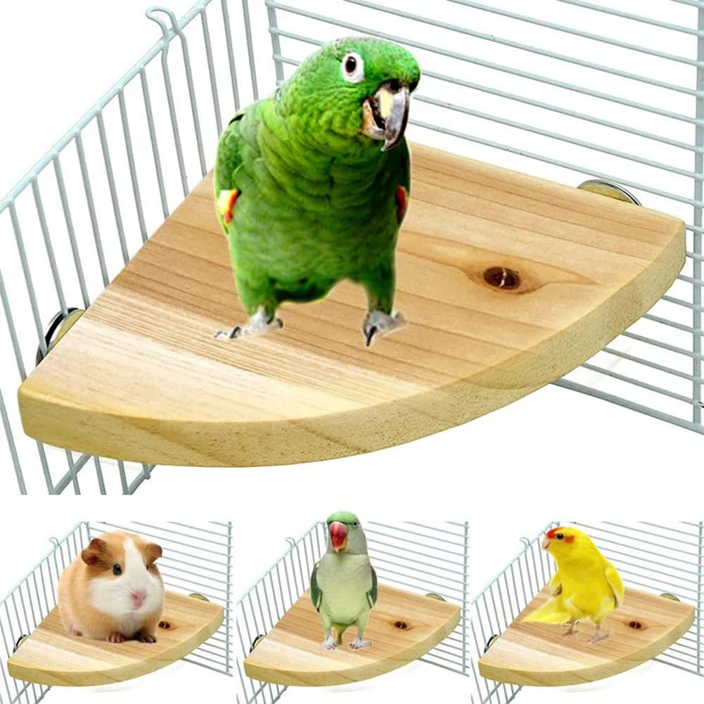 Support de plate-forme de perche à oiseaux, plate-forme de perche en bois, support de perroquet, acc
