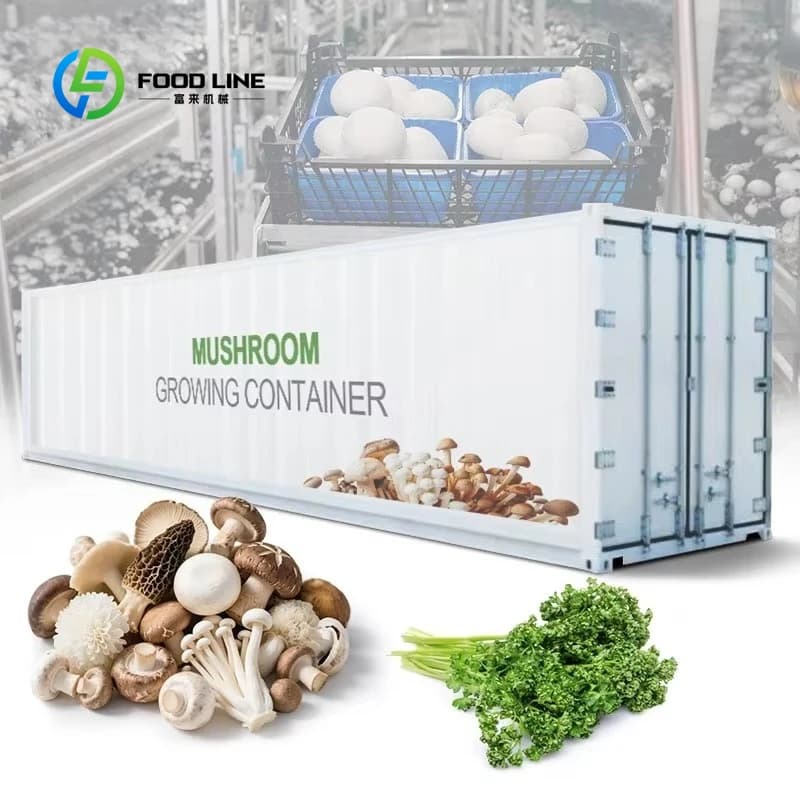 Conteneur de culture intelligent personnalisé de 40 pieds pour champignons, avec cabines de culture