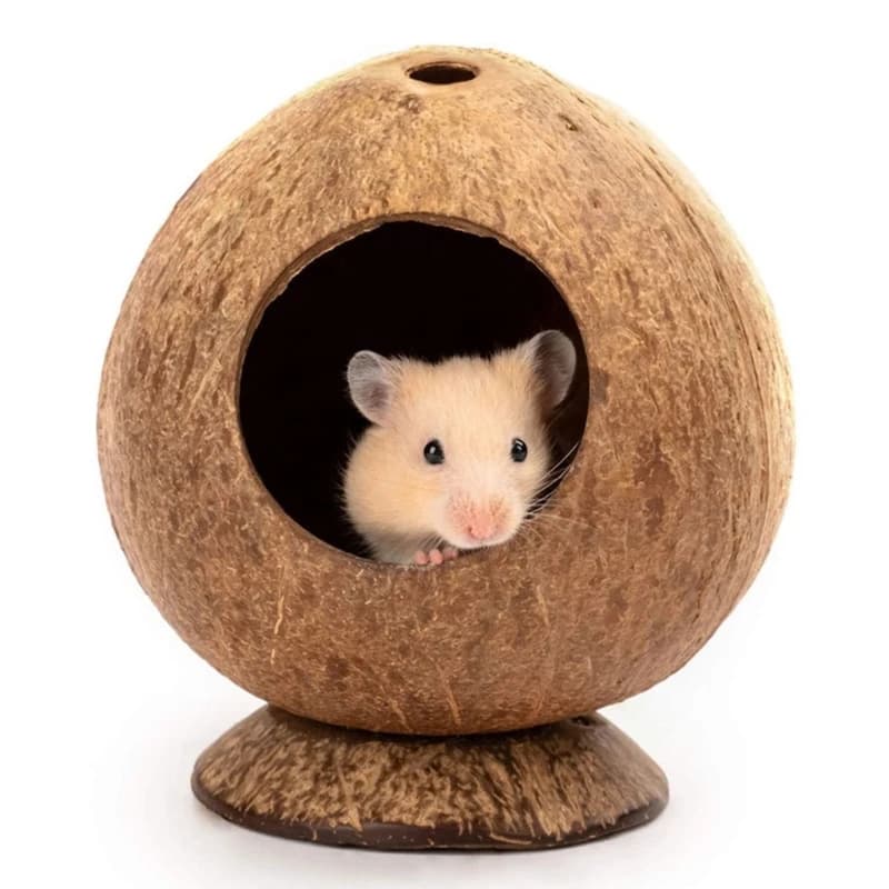Maison Hamster en noix à flux d'air, cachettes chaudes pour petits animaux confortables B03E