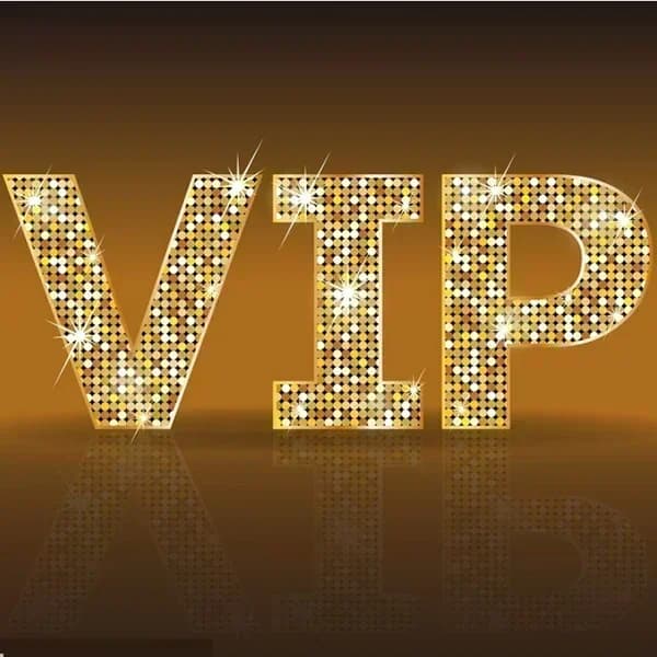 (VIP8) Chaise de salle à manger classique de luxe léger en bois massif avec revêtement souple pour l