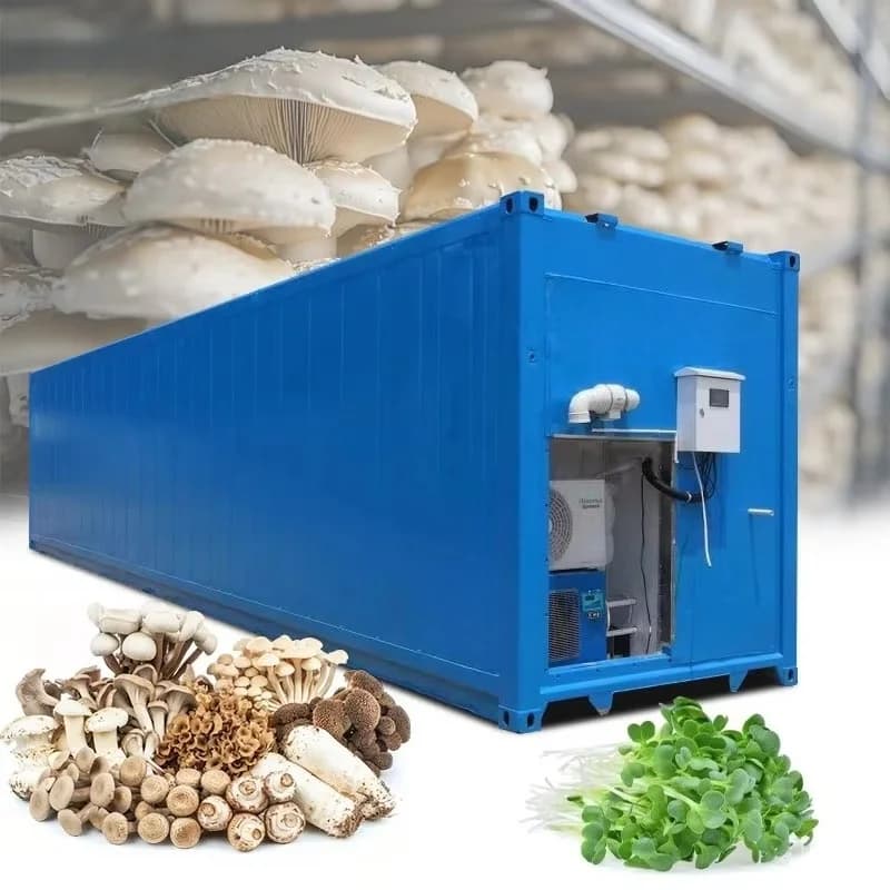 Serre de culture de champignons personnalisée, système de culture en conteneur, chambre de fructific