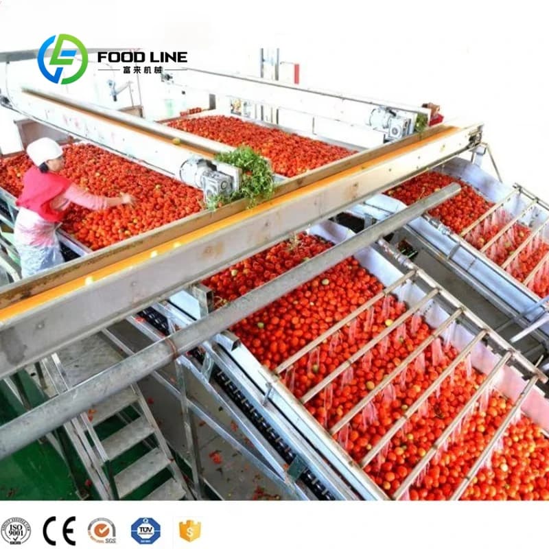 Machine de fabrication de sauce tomate, machine de transformation, ligne de production automatique d
