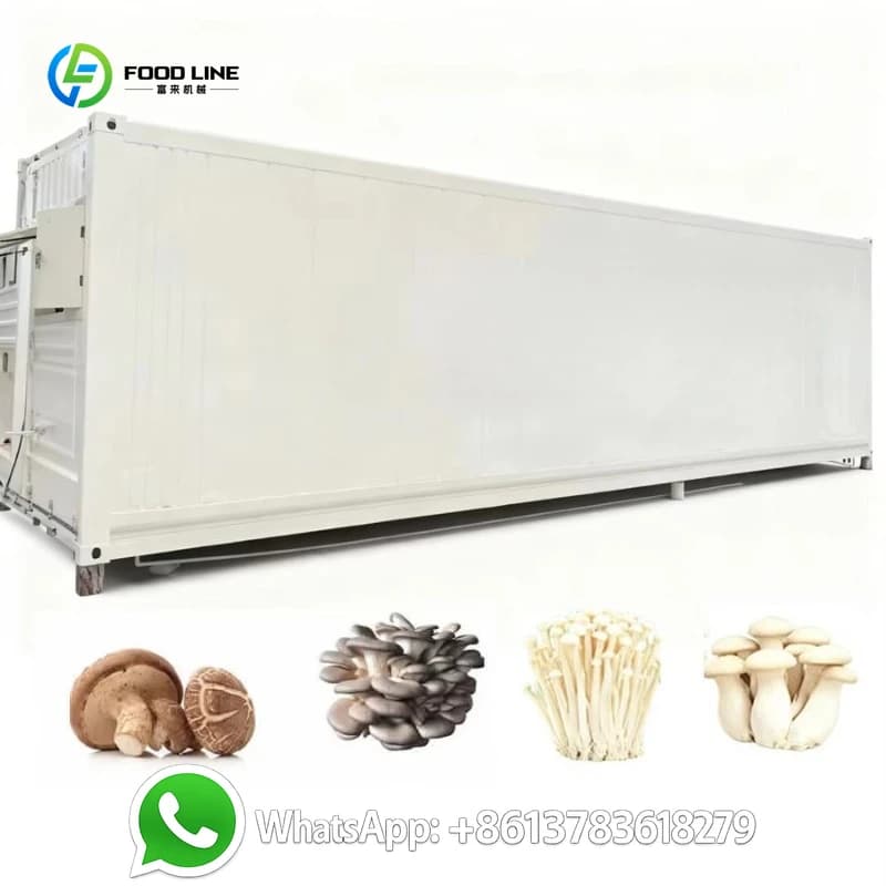 Chambre de culture de champignons automatique personnalisée, petite ferme commerciale en conteneur a