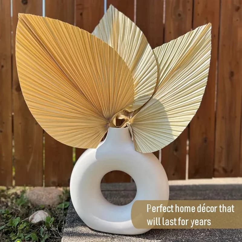 !2025 4 pièces de feuilles de palmier séchées naturelles, parfaites pour la décoration de feuilles d