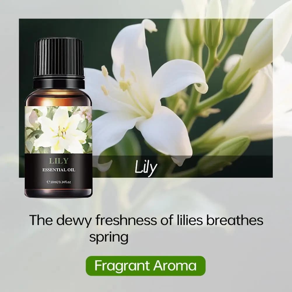 15 Huiles Parfumées Solubles dans l'Eau - Huile d'Aromathérapie 10ml pour Diffuseur, Désodorisant d'