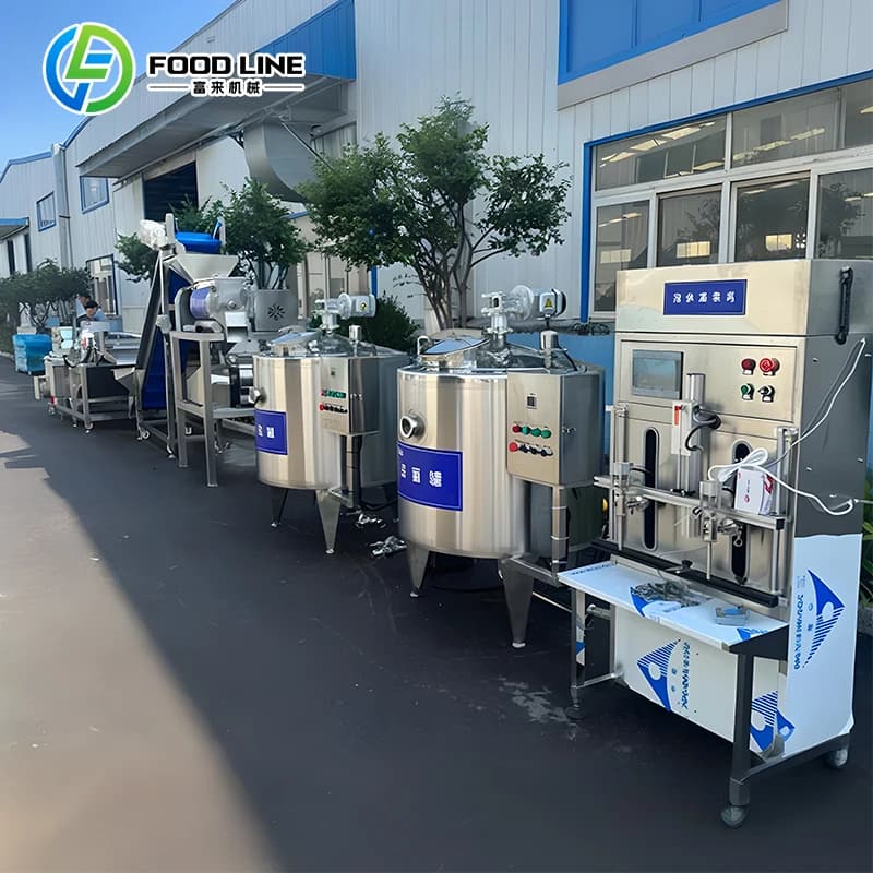 Ligne de production de jus de pomme personnalisée, machine de transformation du jus de cajou, machin