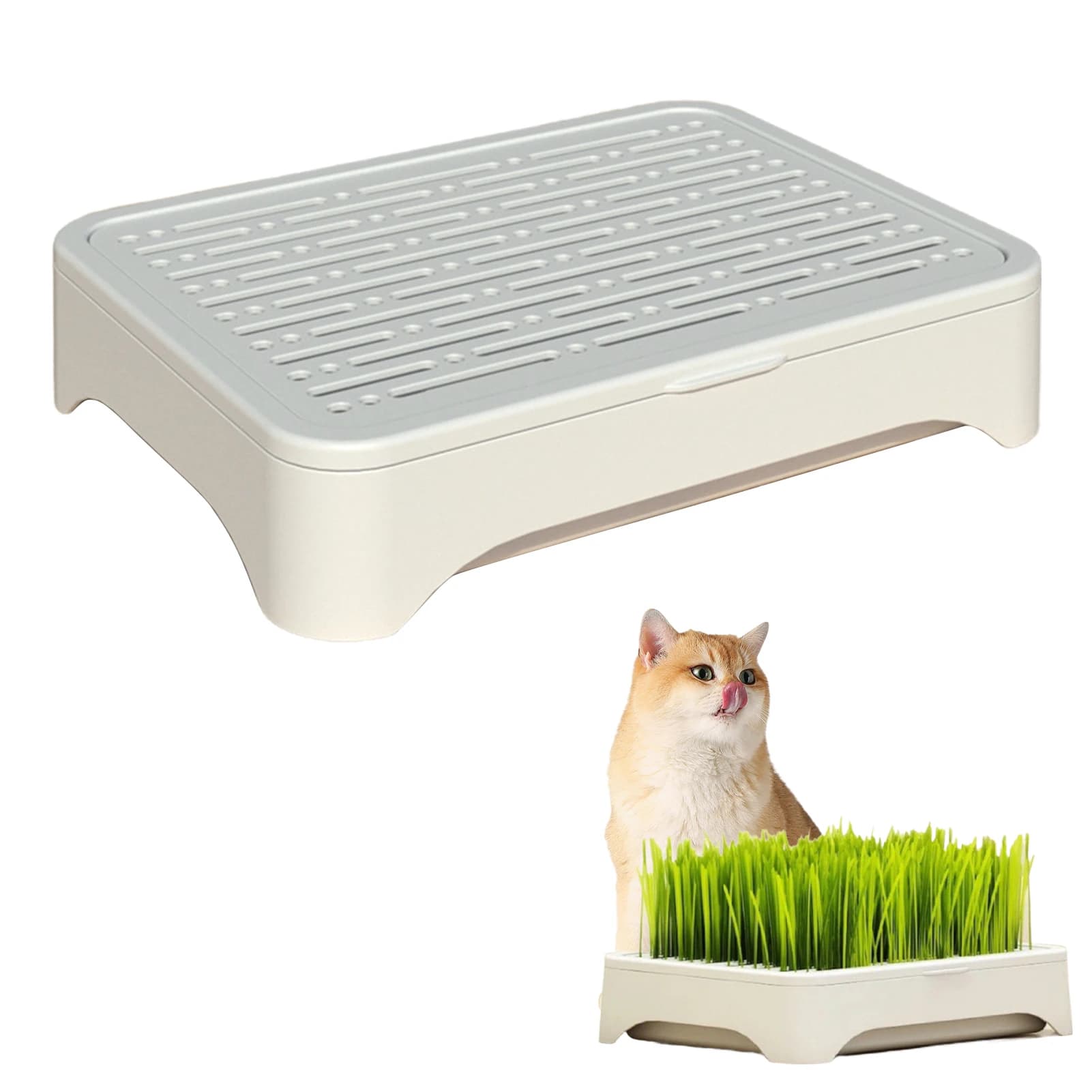 Système de croissance hydroponique pour animaux de compagnie, Pot de pépinière d'herbe pour chat, As