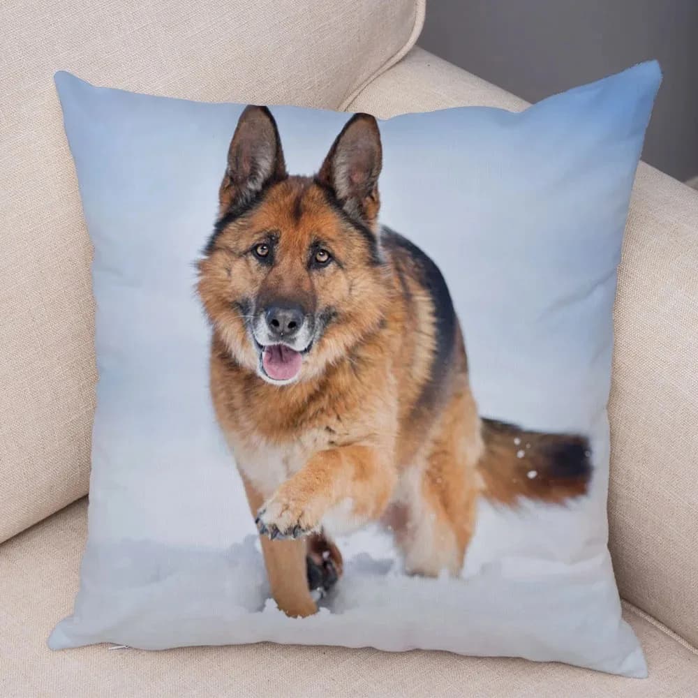 Taie d'oreiller décorative imprimée chien berger, ornements de salon et de bureau, pour la maison