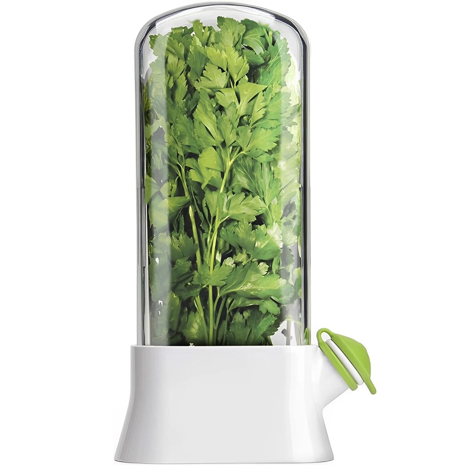 Économiseur d'herbes pour réfrigérateur, bouteille de conservation des légumes, dosette de conservat