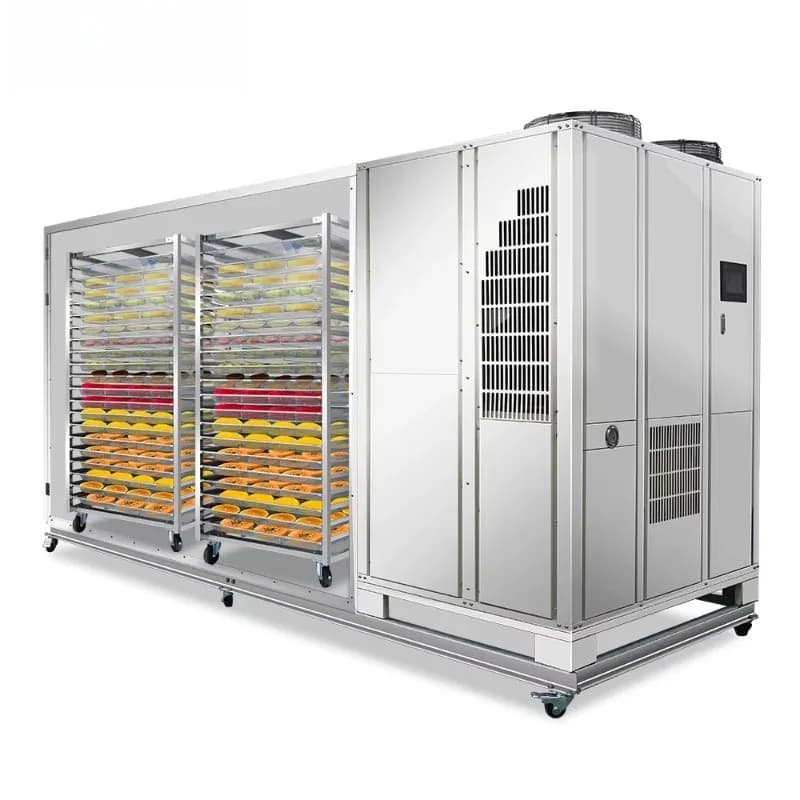 Séchoir Commercial Automatique à Pompe à Chaleur Personnalisé 500 kg 1 Tonne pour Légumes, Champigno