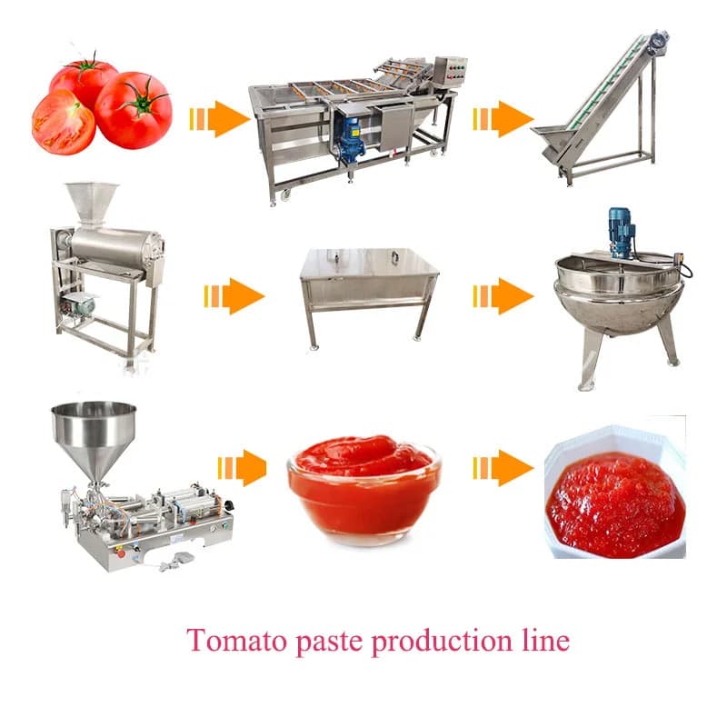 Machine de remplissage de pâte de Sauce tomate, jus de fruits, confiture de myrtille populaire, lign