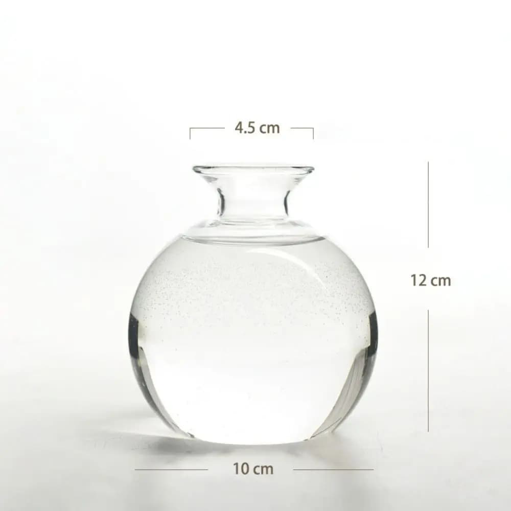 Vase de germination pour graines d'avocat, Kit de culture d'avocat en verre avec autocollants, Cadea