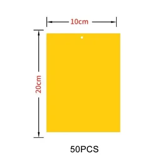 50-100 pièces Pièges collants jaunes et verts pour serres, Plaques collantes pour insectes, Autocoll