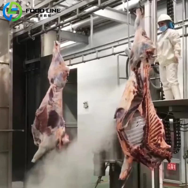 Meilleur prix Projet d'abattage Halal équipement d'abattage de bétail et d'agneau pour atelier de li