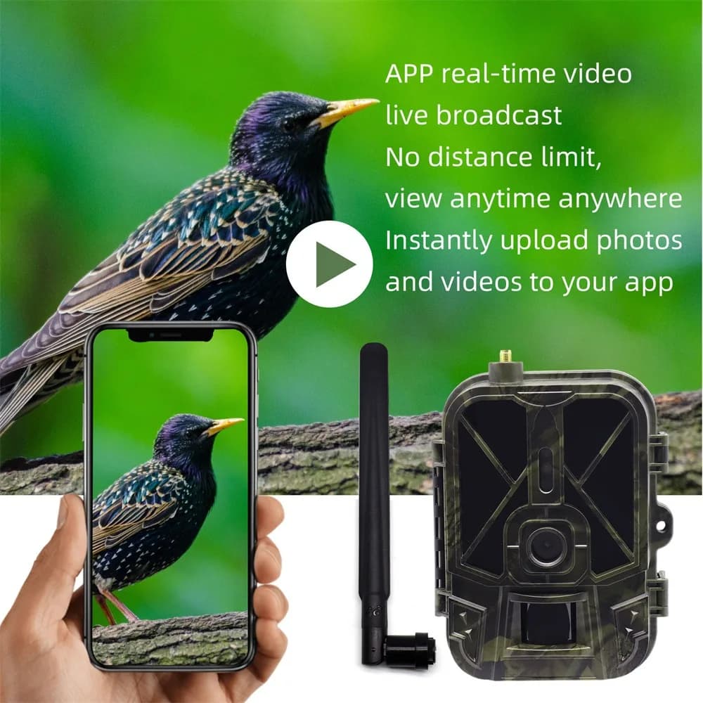 Caméra de chasse extérieure 4G 120MP 4K pour spectacle en direct, application mobile, étanche, visio