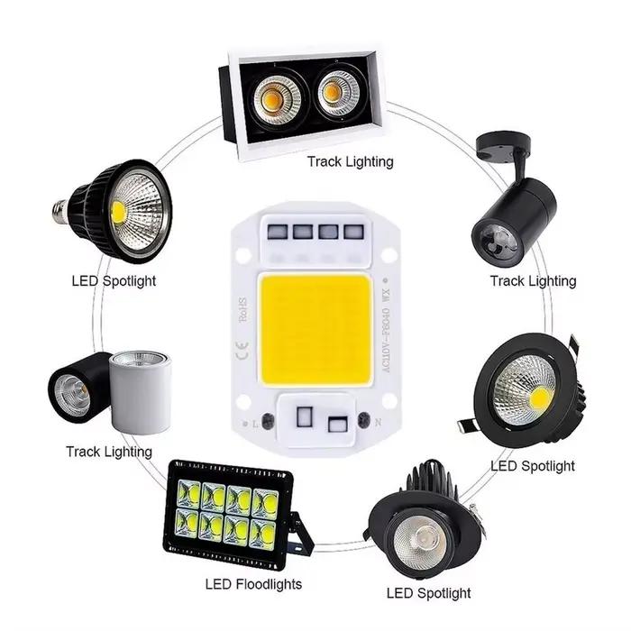 LED élèvent la puce COB Phyto lampe spectre complet 110 V/220 V 20 W 30 W 50 W pour la culture de se