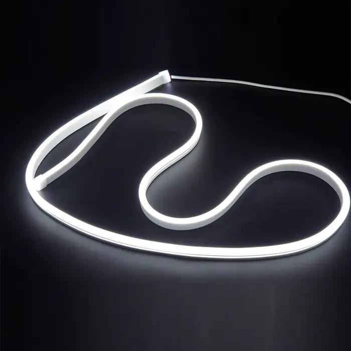 Bande lumineuse néon LED SMD 2835 120LED s/M, 5m 10m 15m 20m 12V, étanche IP67, bricolage, décoratio
