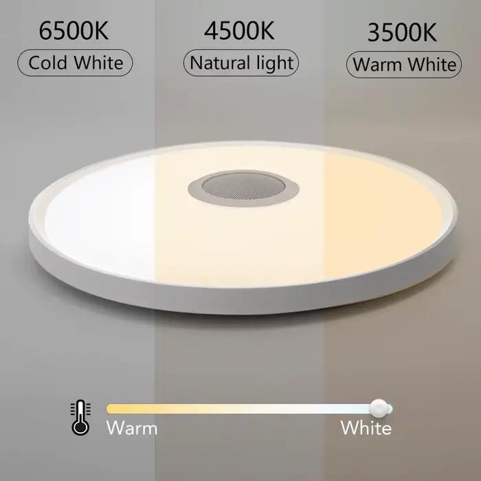 Plafonnier intelligent LED RGB avec télécommande et haut-parleur pour éclairage musical et ambiance personnalisée chambre salon moderne