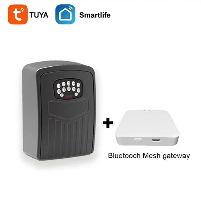 Tuya – boîtes de sécurité pour clés Bluetooth