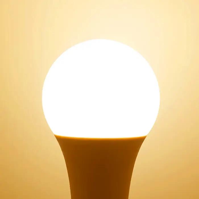 3W 6W 9W 12W 15W 18W 20W LED ampoule lampes E27 E14