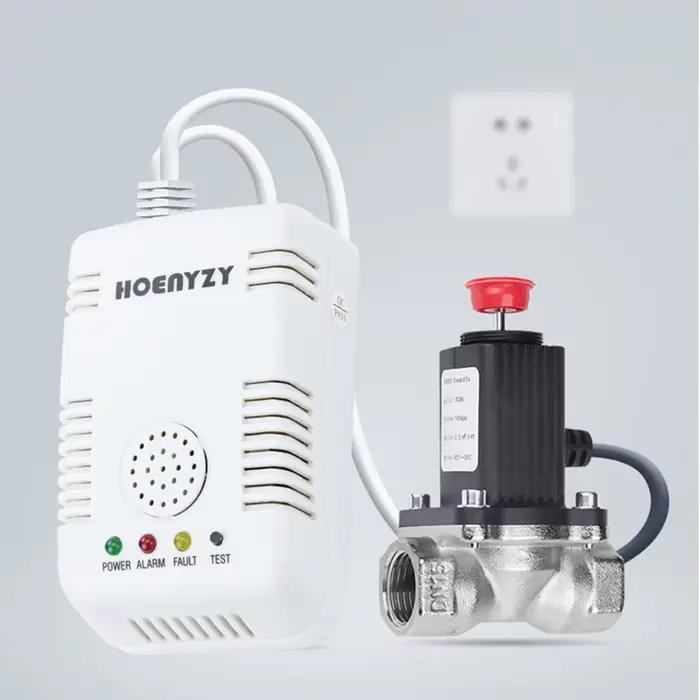 Alarme de gaz naturel Smart Stones avec électrovanne, arrêt automatique, détecteur de fuite, basse pression, DN15, DN20, normalement ouvert, matériau plastique, fonctionnement en toute sécurité pour maison et famille